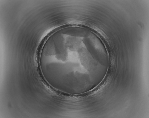 X0000112971022200909101648