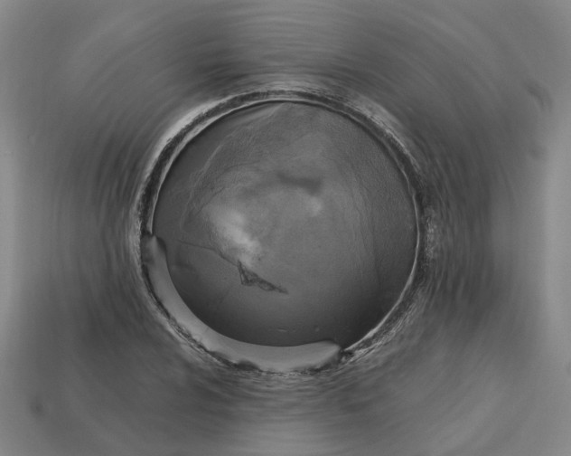 X0000112971024200909101648