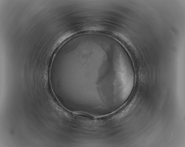 X0000112971025200909101648