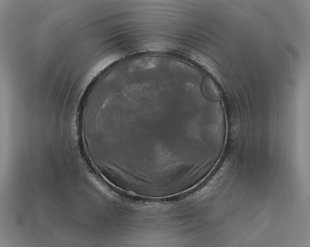 X0000112971026200909101648