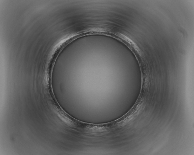 X0000112971027200909101649