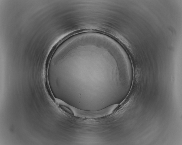 X0000112971028200909101649