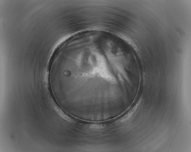 X0000112971029200909101649