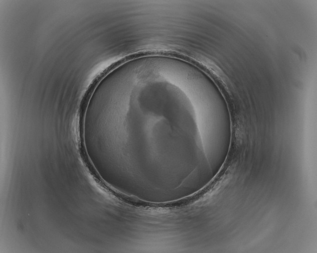 X0000112971030200909101649