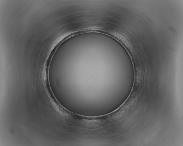 X0000112971031200909101649