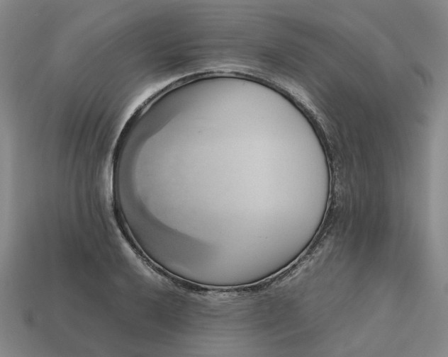 X0000112971032200909101649