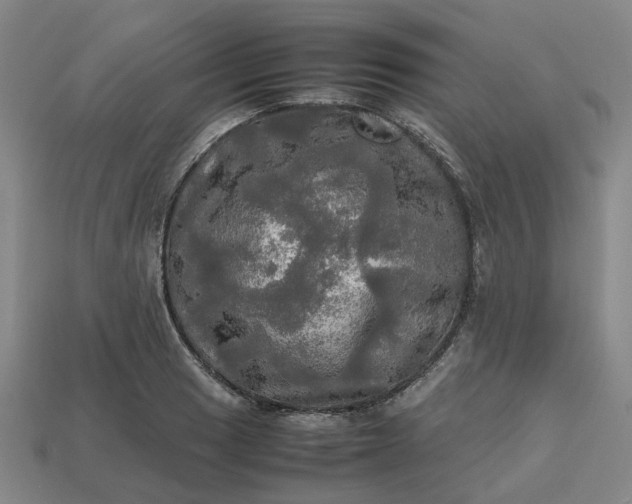 X0000112971033200909101649