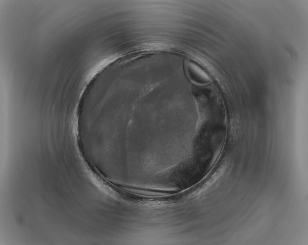 X0000112971034200909101649