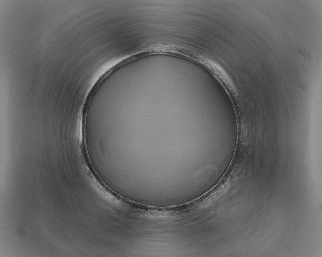 X0000112971036200909101649