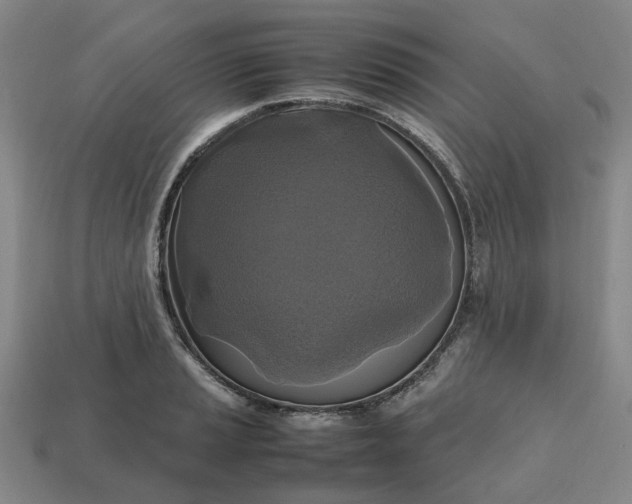 X0000112971037200909101649