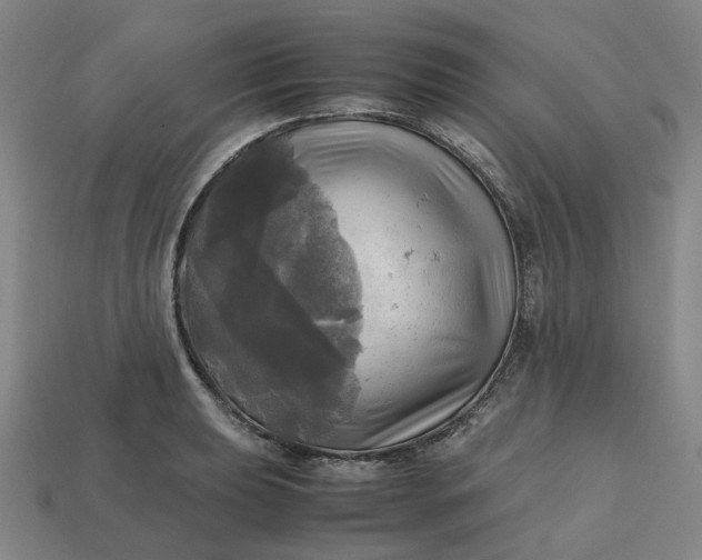 X0000112971039200909101649