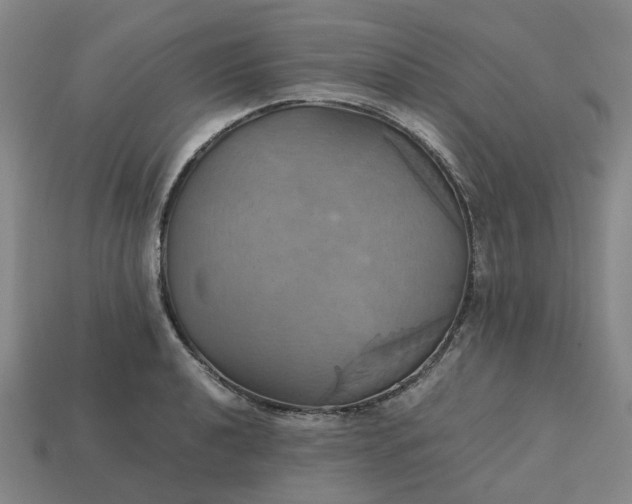 X0000112971040200909101649