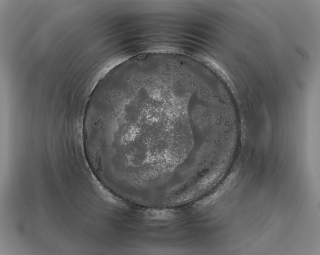 X0000112971041200909101649