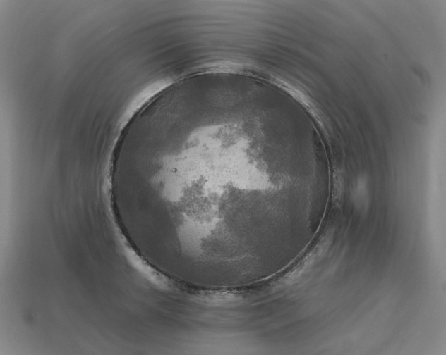 X0000112971042200909101649