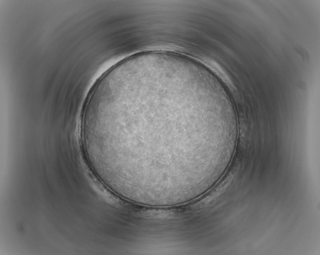 X0000112971044200909101649