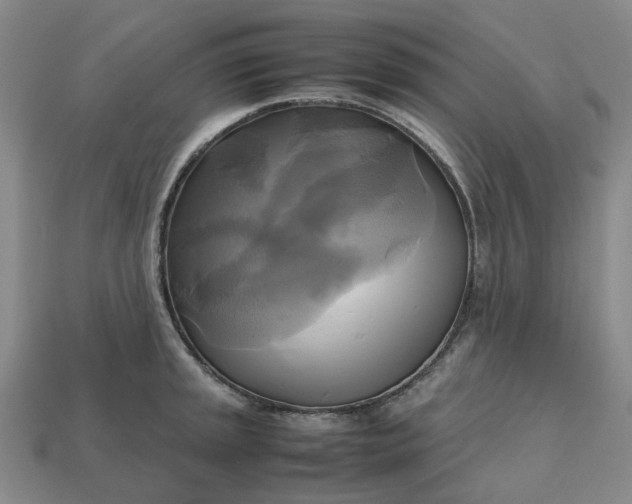 X0000112971045200909101649