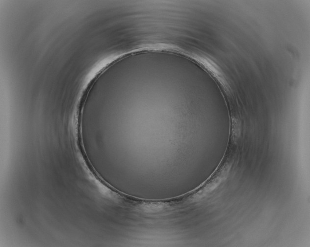 X0000112971046200909101649