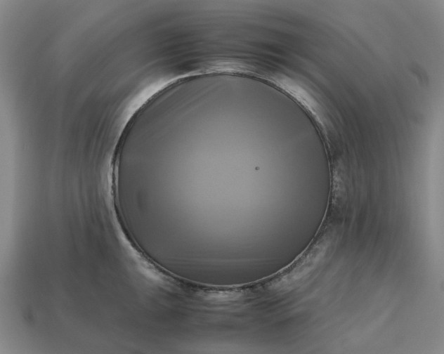 X0000112971047200909101649