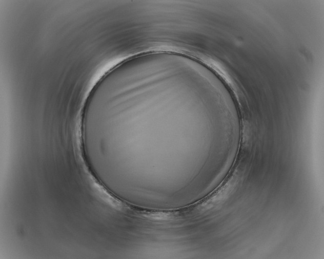 X0000112971048200909101649