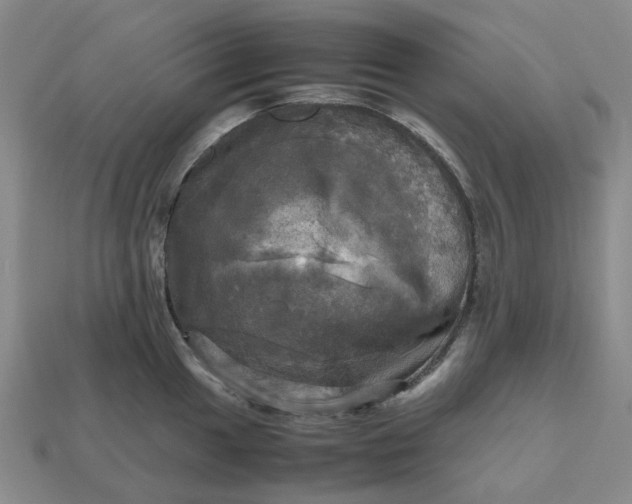 X0000112971049200909101649