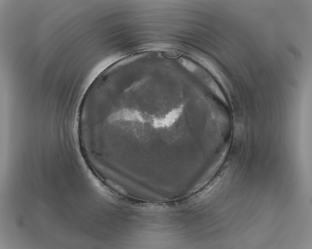 X0000112971050200909101649