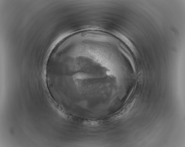 X0000112971051200909101649