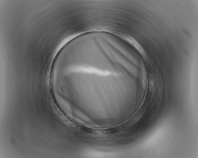 X0000112971052200909101649