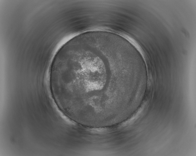 X0000112971053200909101649