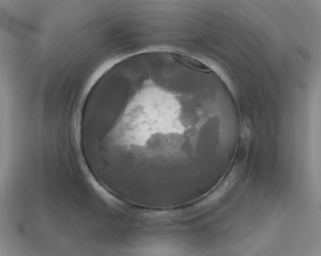 X0000112971054200909101649