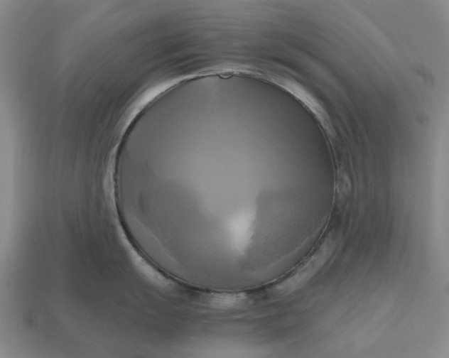 X0000112971055200909101649