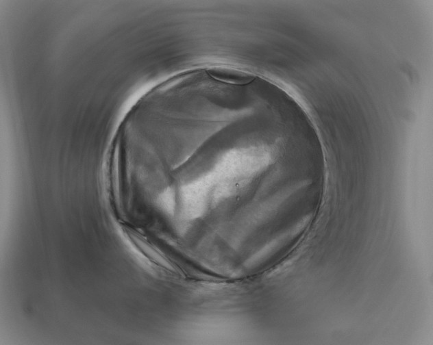 X0000112971056200909101649