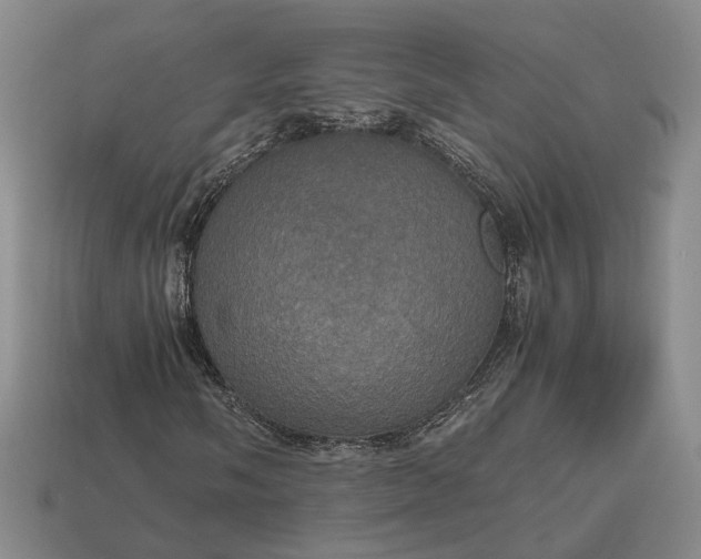 X0000112971058200909101648