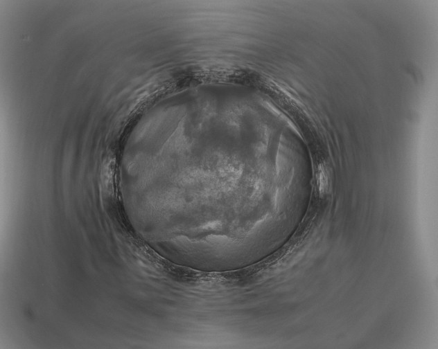 X0000112971059200909101648