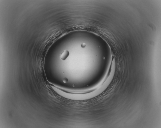 X0000112971060200909101648