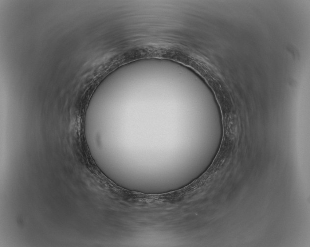 X0000112971061200909101648