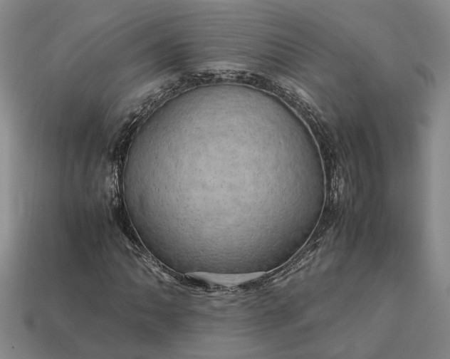 X0000112971062200909101648