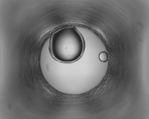 X0000112971064200909101648