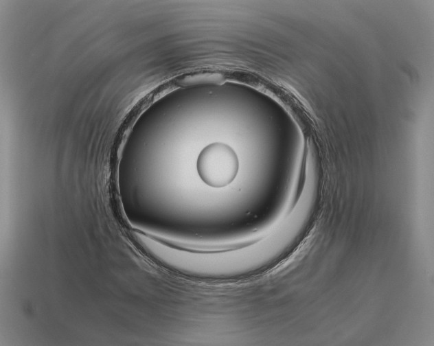 X0000112971065200909101648