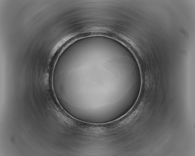 X0000112971066200909101648