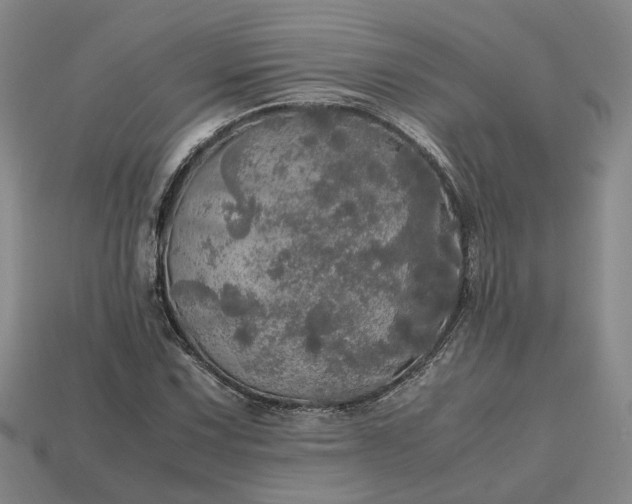 X0000112971067200909101648