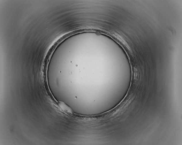 X0000112971068200909101648