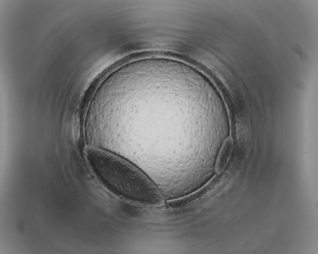 X0000112971069200909101648