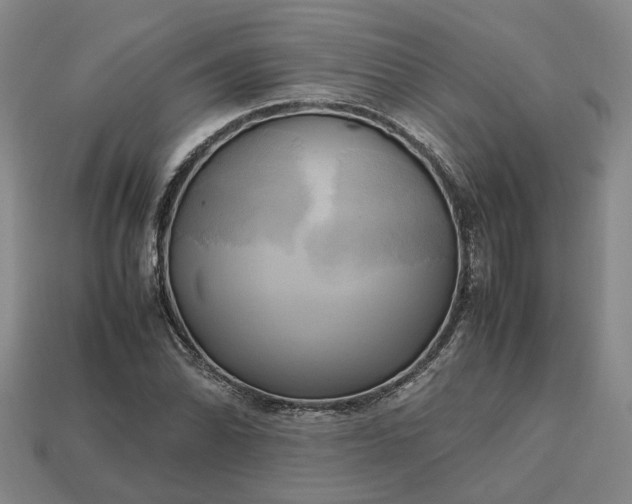 X0000112971070200909101648