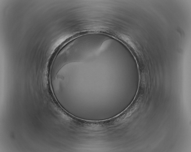 X0000112971071200909101648