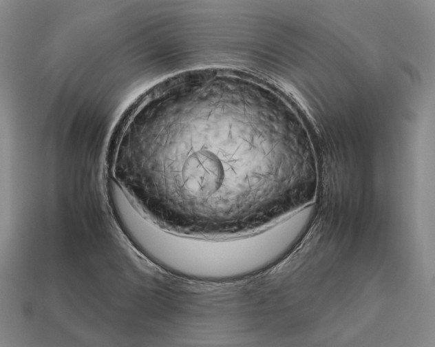 X0000112971072200909101648