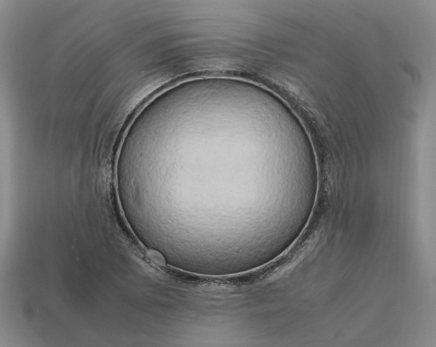 X0000112971073200909101648