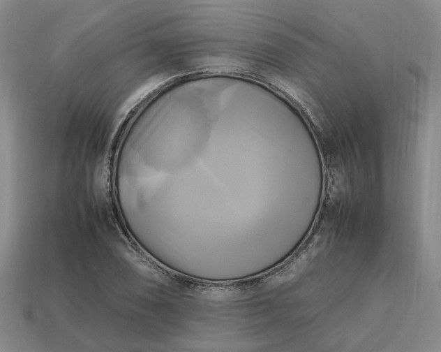 X0000112971074200909101648