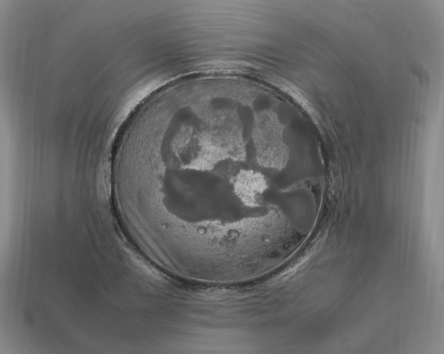 X0000112971075200909101648