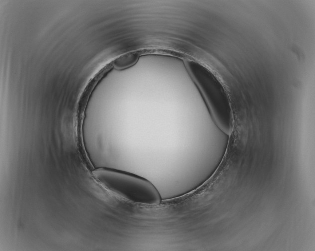 X0000112971076200909101648