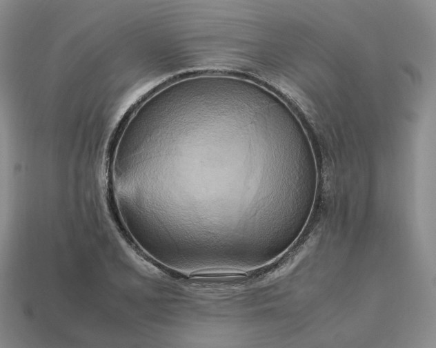 X0000112971077200909101648